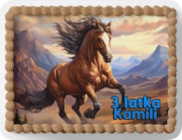 PROSTOKĄTNY OPŁATEK NA TORT A4 20x29CM - KONIE KOŃ HOBBY + IMIĘ GRATIS