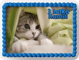 PROSTOKĄTNY OPŁATEK NA TORT A4 20x29CM - KOTEK KOTKI KOT + IMIĘ GRATIS