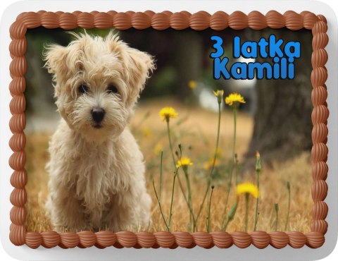 PROSTOKĄTNY OPŁATEK NA TORT A4 20x29CM - PIESEK PIES PSY + IMIĘ GRATIS PROSTOKĄTNY OPŁATEK NA TORT A4 20x29CM - PIESEK PIES PSY + IMIĘ GRATIS