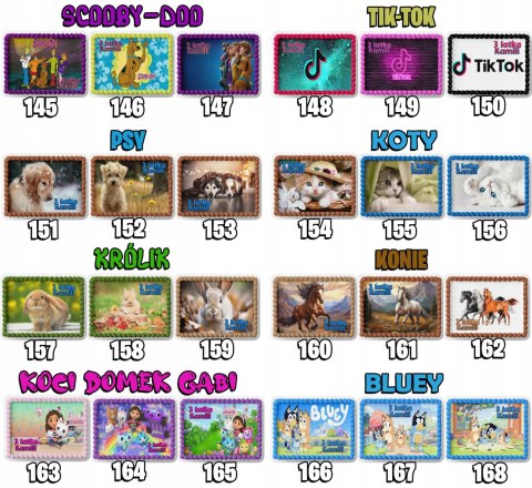PROSTOKĄTNY OPŁATEK NA TORT A4 20x29CM - SONIC BAJKA + IMIĘ GRATIS PROSTOKĄTNY OPŁATEK NA TORT A4 20x29CM - SONIC BAJKA + IMIĘ GRATIS