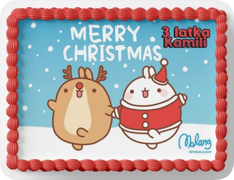 PROSTOKĄTNY OPŁATEK NA TORT A4 20x29CM - MOLANG BAJKA + IMIĘ GRATIS