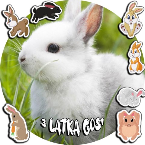 OPŁATEK NA TORT 30CM - KRÓLIKI KRÓLIK + IMIĘ + GRATIS! 24CM 26C2