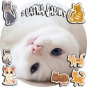 OPŁATEK NA TORT 20CM - KOTEK KOT KOCI KOTKI + IMIĘ + GRATIS! 15CM 18CM