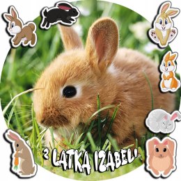 OPŁATEK NA TORT 20CM - KRÓLIK KRÓLICZEK + IMIĘ + GRATIS! 15CM 18CM