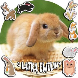 OPŁATEK NA TORT 20CM - KRÓLIK KRÓLICZEK + IMIĘ + GRATIS! 15CM 18CM