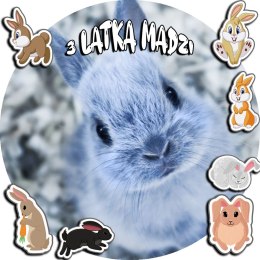 OPŁATEK NA TORT 20CM - KRÓLIK KRÓLICZEK + IMIĘ + GRATIS! 15CM 18CM